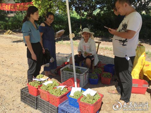 從田間到餐桌的安心承諾——解讀漣源市食用農(nóng)產(chǎn)品合格證制度